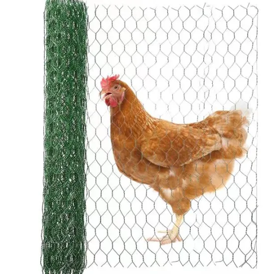 Galvanized Rabbit Cage and Chicken Wire Mesh: Ideal Solution for Poultry Farm Fencing
