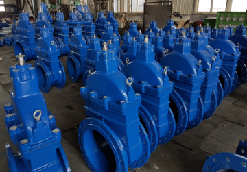 Resilient Seated Wedge Gate Valve