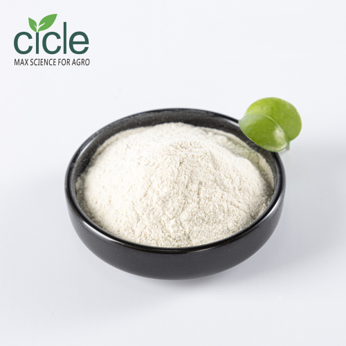 Chitosan Powder (high-density) DAC 90%min