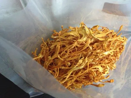 Cordyceps Sinensis Extract Mushroom Polysaccharides