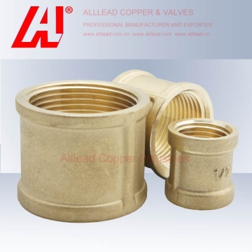 Threaded Pipe Brass Fitting Straight Socket