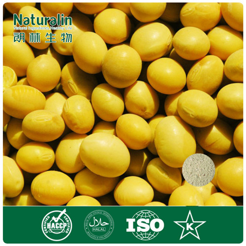 Pure Natural Soybean Extract Powder with 40% Isoflavone by HPLC (NAT-170-9)