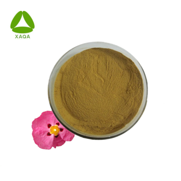 Powerful Herbal Extract Natural Rock Rose Extract Powder