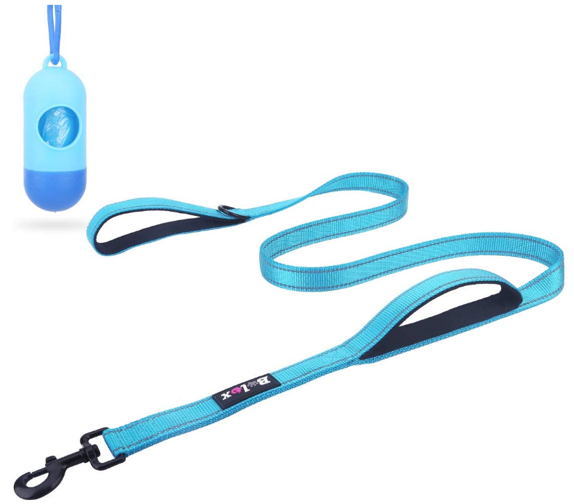 Training Walking Dog Lead