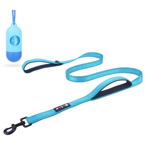 Training Walking Dog Lead