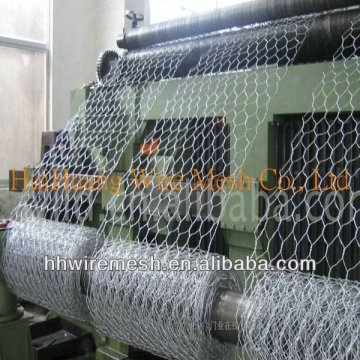 choose us!!!!!! cheap chicken wire,small chicken wire (Dingzhou factory)