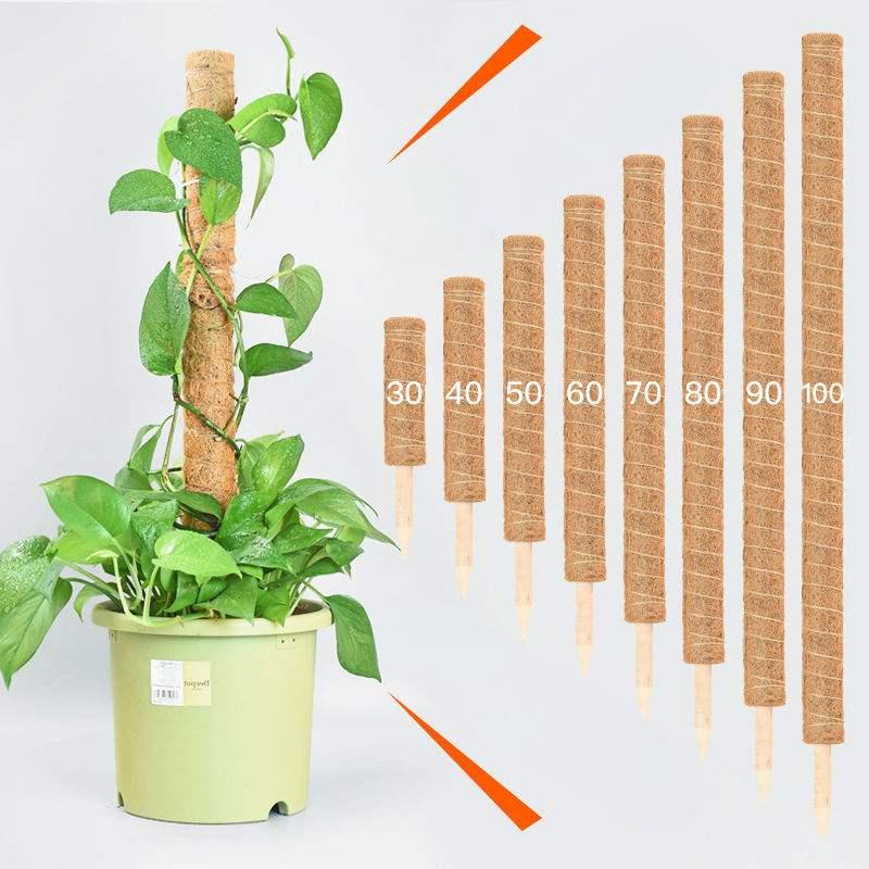 Plant Growth Coconut Coir Poles