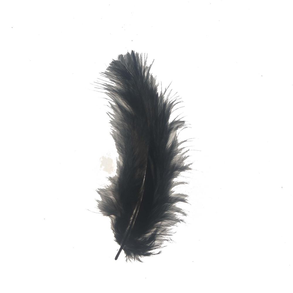 Black Feather