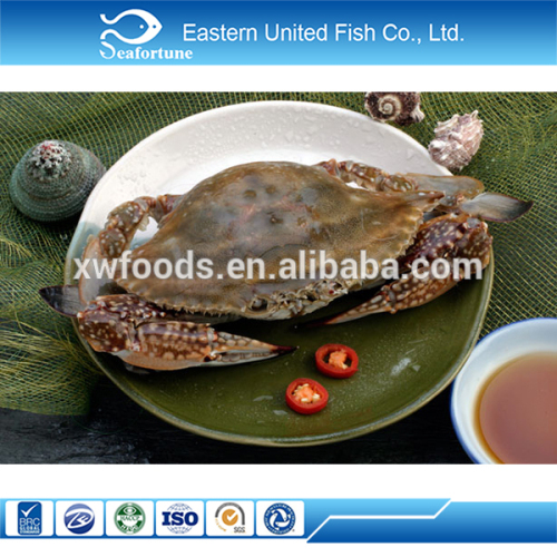 new arrival wholesale health frozen blue swimming crab export detail