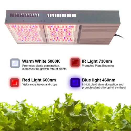 Indoor Commercial Greenhouse Grow Light For Vegetables Plant