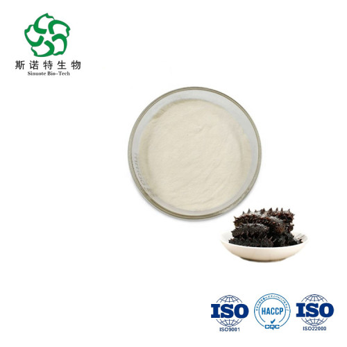 Herb Ginseng Peptide Dried Sea Cucumber Protein Powder/ Sea Cucumber Peptide Supplier