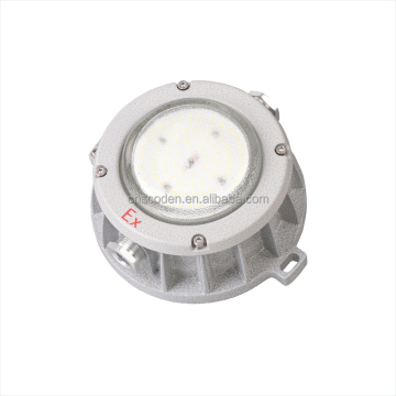 ATEX Explosion Proof Light: 20-50 W