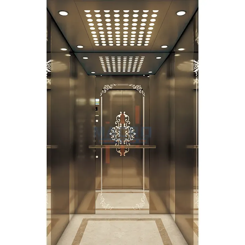 Residential Passenger Elevator with Customized CE EAC Manufacturer Funicular Solution