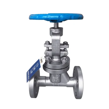 Soviet Union GOST 9544 Globe Valve Russia