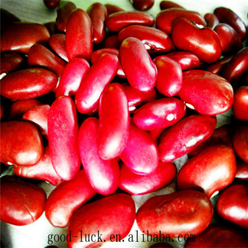 Dark red light speckled kidney beans(2015 crop)                        
                                                Quality Choice