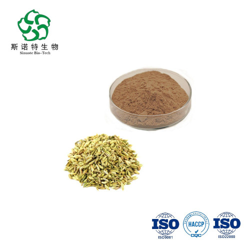 Fennel Extract Powder Food Grade