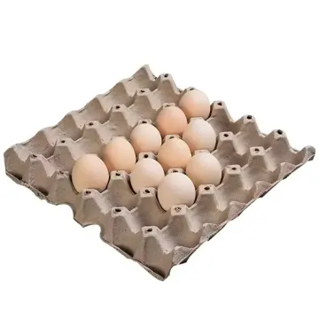 Biodegradable Pulp Paper Egg Cartons