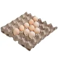 Biodegradable Pulp Paper Egg Cartons