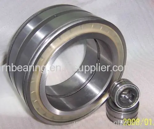 Nnu 410x460x50 W33 Double Row Cylindrical Roller Bearings 