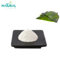 food grade sodium alginate powder 99%