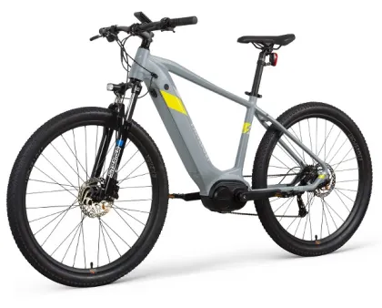 Customized Focus Electric Bikes