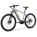 Alquiler de bicicletas eléctricas de montaña personalizada