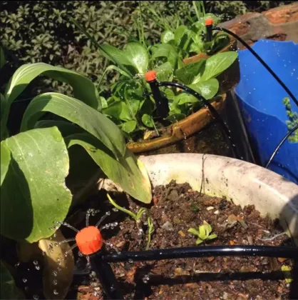 Complete Garden Solutions: Greenhouse Kits, Drip Irrigation Systems & Accessories for Efficient Watering