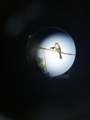 Waterproof HD Outdoor Monocular Telescope for Bird Watching