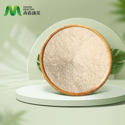 Aukšto grynumo liposominis silimarinas