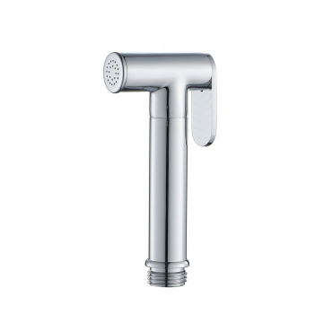 Chrome Brass Bidet Sprays: Handheld Toilet Bidet Solutions