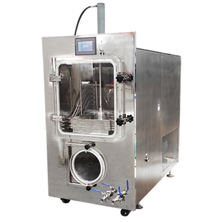 Food Freeze Dryer Lyophilizer