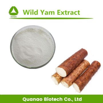 Pure Wild Yam Root Extract powder