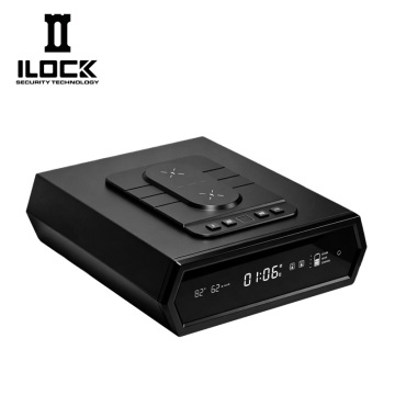 Slide-out Gun Safe WX018