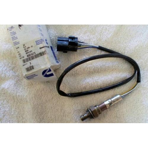 4VBE34RW3 Sensor de Oxigênio de Gás de Exaustão 4001675