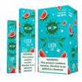 POP disposable vape pen Electronic Cigarettes
