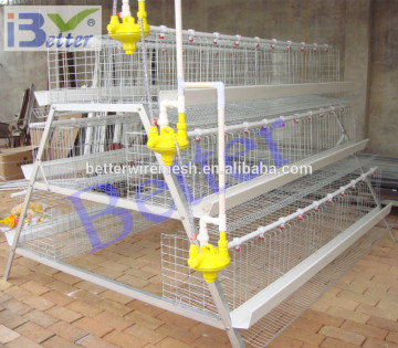 BETTER FACTORY 2015 new design automatic layer chicken cages (direct factory)