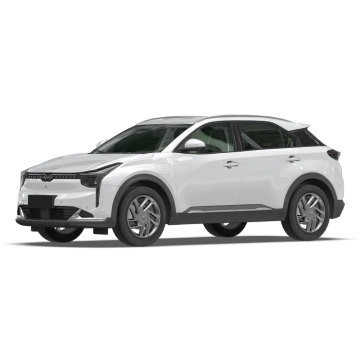 Çin'in popüler Neta U 5 kapılı 5 koltuklu SUV Elektrik Aracı-401km Aralığı