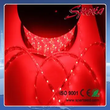Epistar chip smd 5050 5060 led strip 50m length