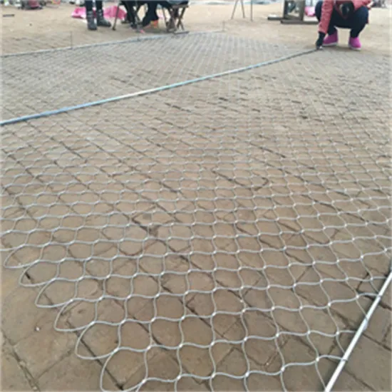 stainless steel woven open ferrule wire rope mesh net for zoo bird parrot aviary safety fencing