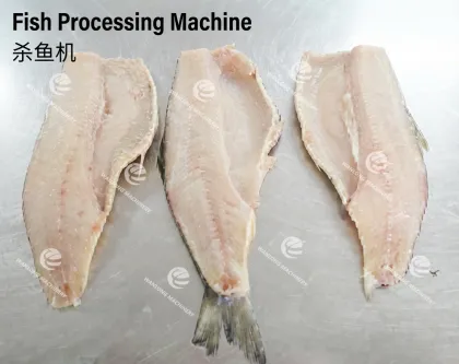 Automatic Fish Processing Machine