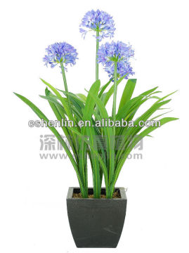 Artificial Narcissus for home decoration/artificial narcissus bonsai plant