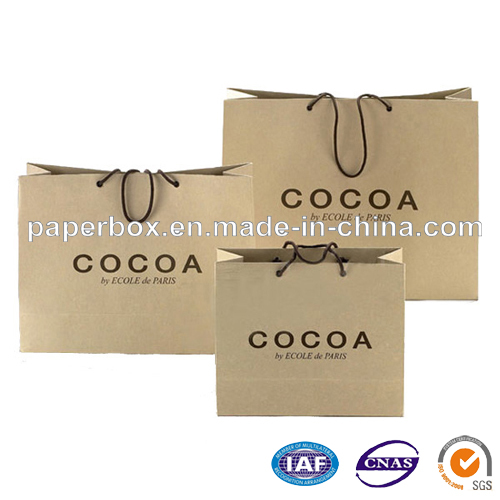 Paper Shopping Bag (FXS-244)