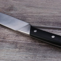 Coltello da 8 pollici per affettare la cucina