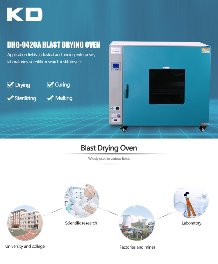 Hot blast air circulating drying oven