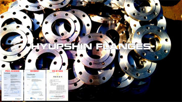 PN40 S235JR Steel EN1092-1 Type 01 Flange
