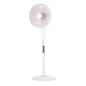 Modern Three Gears Standing Fan with Timer - China Electric Fan Supplier