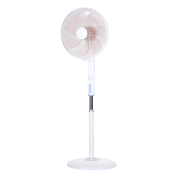 Modern Three Gears Standing Fan with Timer - China Electric Fan Supplier