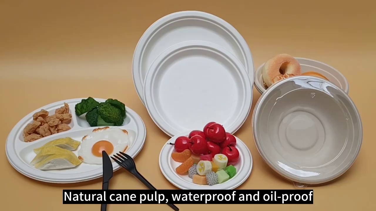 Disposable Compostable 9 Inch Sugarcane Bagasse Cake Plates