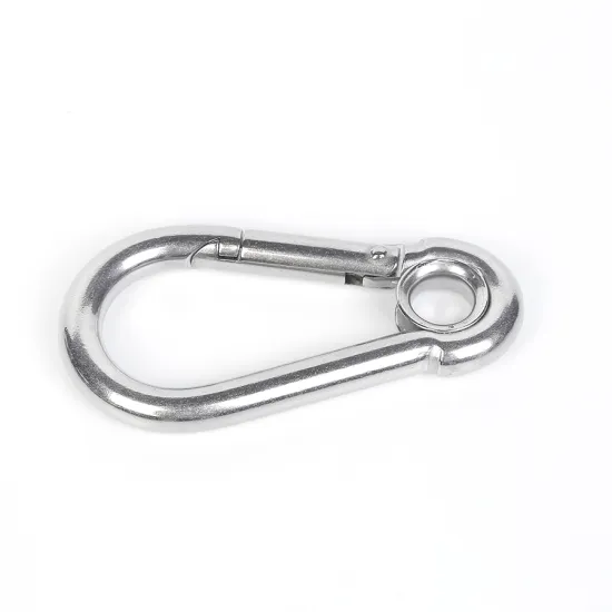 Stainless steel snap ring hook snap buckle