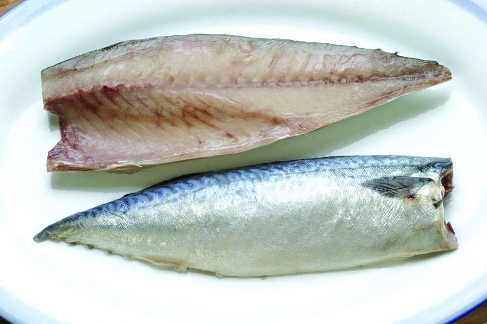 Delicious Nutritional Frozen Mackerel